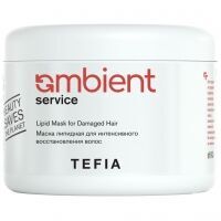 Tefia - Маска липидная для интенсивного восстановления волос Lipid Mask for