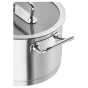 Кастрюля с крышкой 6.2 см Zwilling Pro PSK-65123-240 фото 3