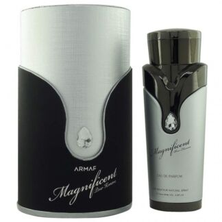 Magnificent Pour Homme Armaf